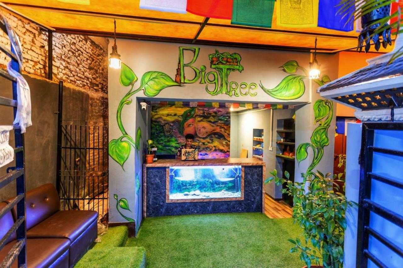 Big Tree Hostel كاتماندو المظهر الخارجي الصورة